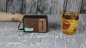 Radio radion tranzistor FM
