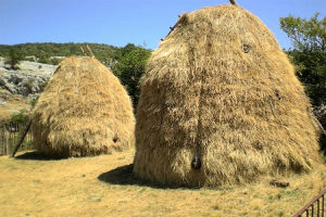 Bale sjena