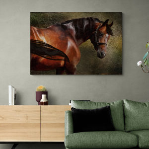 Canvas slika - Smeđi konj, Snažni Pastuh