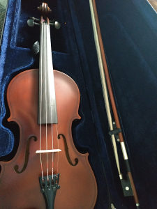 Violina sa koferom i gudalom