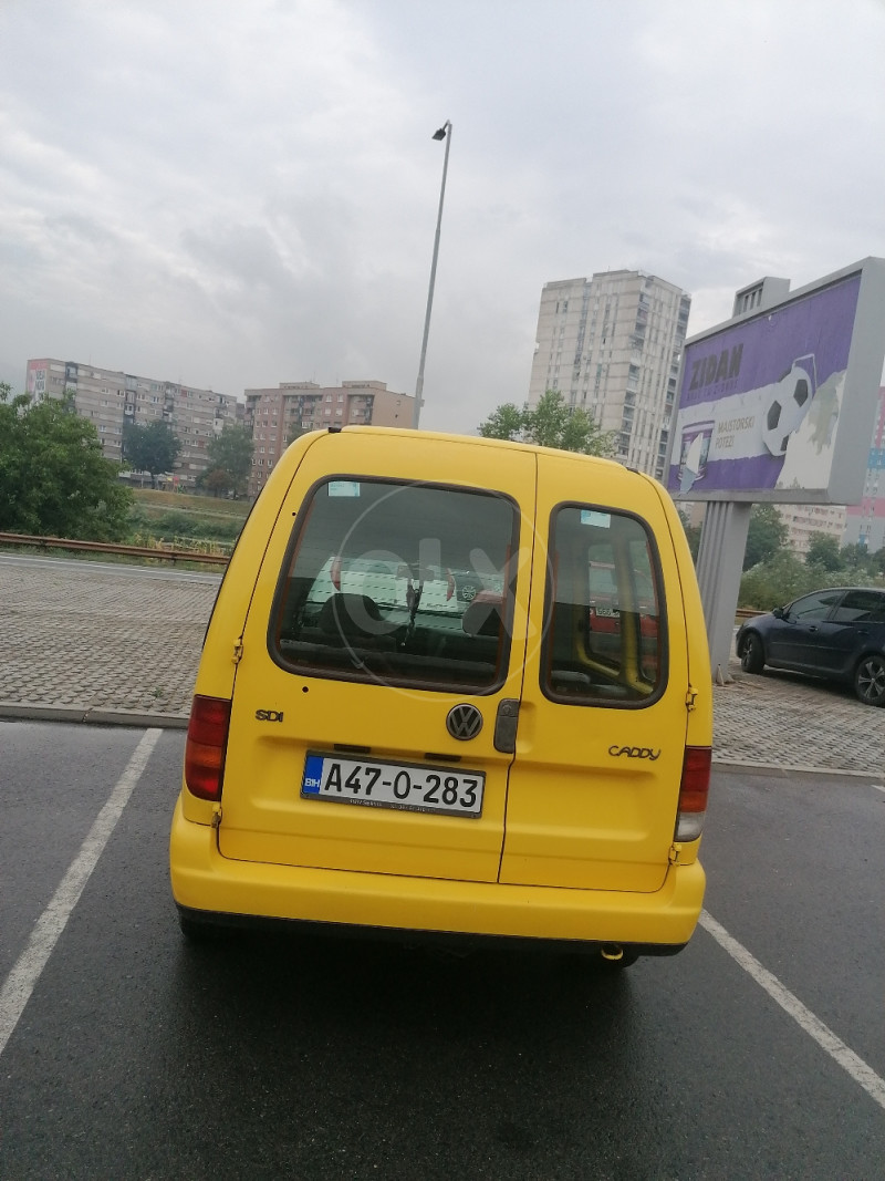Volkswagen Caddy kedi cedi cady