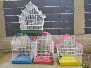 Kavezi za ptice