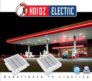 LED industrijska svjetiljka Eagle 110W 069-002-0110