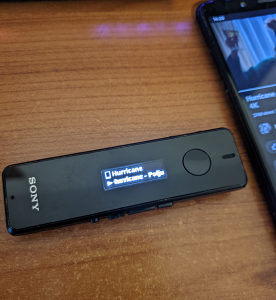 Sony SBH52 Bluetooth Slusalice